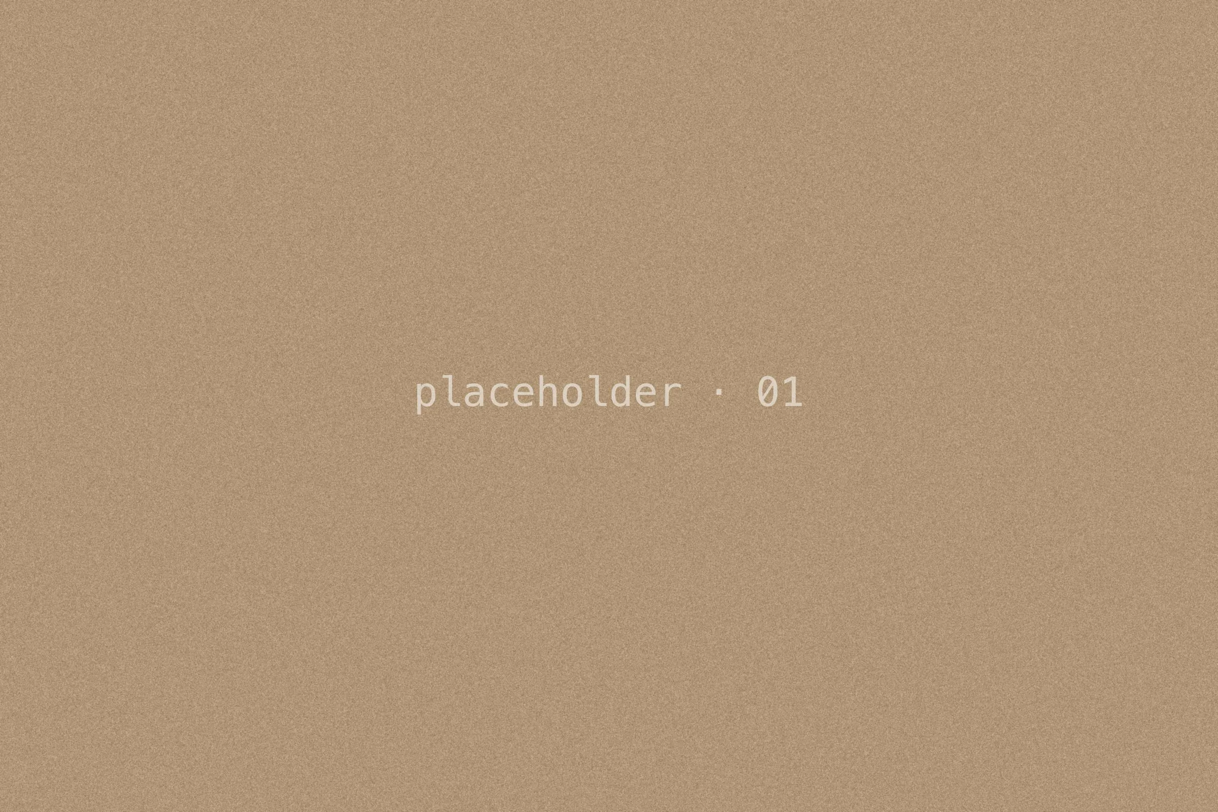 Placeholder frame, warm grain.
